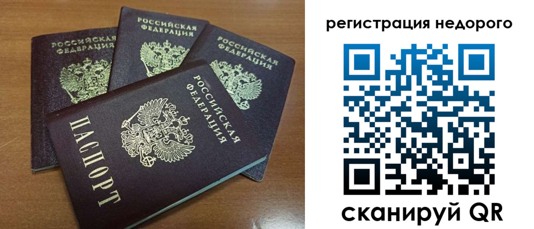 прописка штамп в Александровске